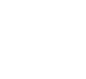 Bio